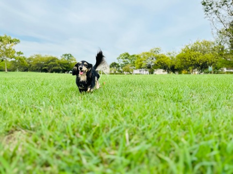 1F48B18D-44CF-4344-A624-750D064EDAC6