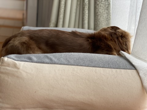 4FD43329-CC1C-4A45-9DE3-6A65289A3BD5