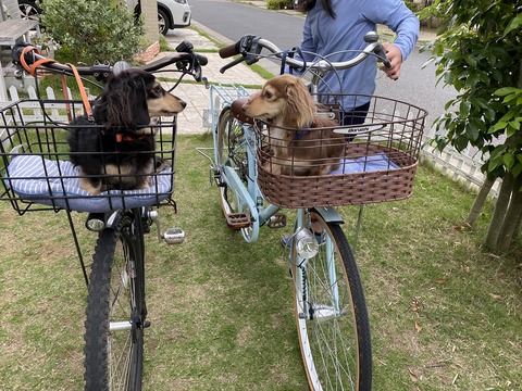 7CB6DBB3-919E-4A56-8679-2C255E9E5A37