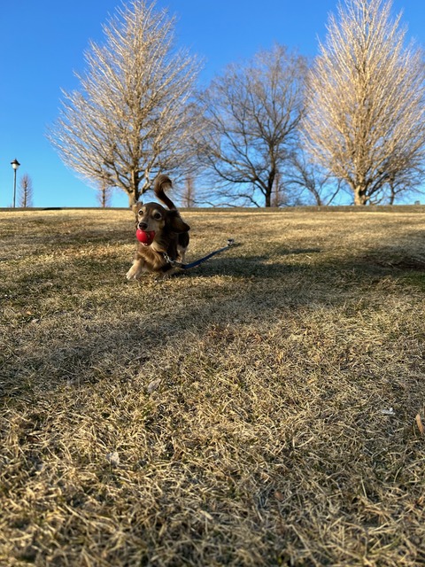 EB6230D4-D49F-4355-ACF2-203DC966021B