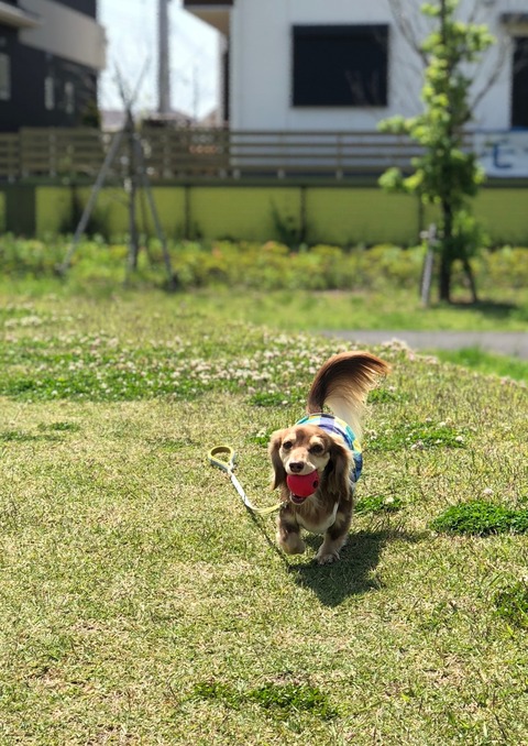 924CE932-C43C-4272-8E9C-89B999490D6A