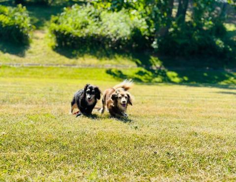 02EC378E-A63D-4680-8258-E804CC5CEDD3