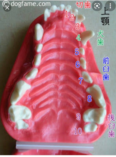 08CD2745-96B8-48DB-8297-5DBEE283C3C2