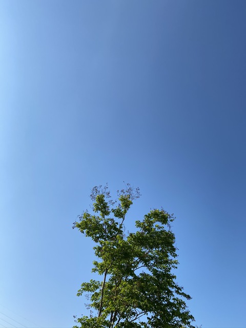 A020C99F-EE30-4AEA-9198-3DF58EBCB0FD