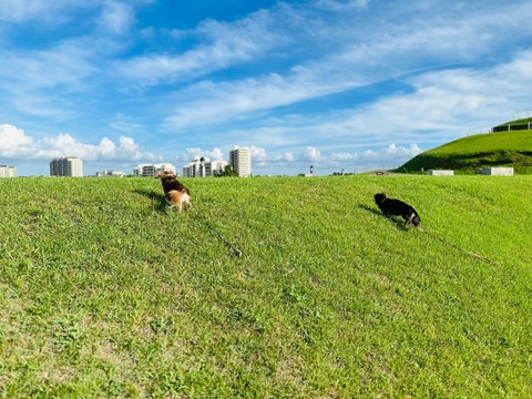 37A8355C-88B8-46BB-8996-C94EF6BAE1C9