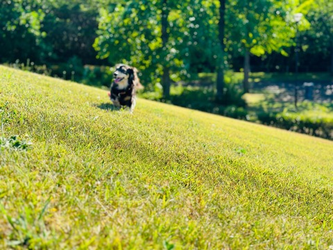 97ACDCE5-D562-4997-B97C-D29BE941463A