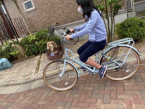 064C41F3-EF2C-4FDB-B2E9-AB1EB0C44719