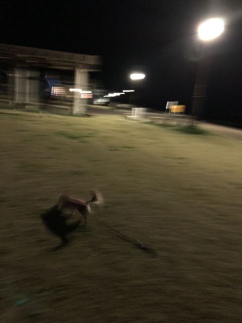 7476321F-3B6B-4DD8-98F0-BE3E4693CCB1