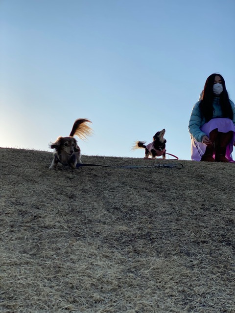 AF97D5F3-5415-491D-A79F-A43A708EB60A