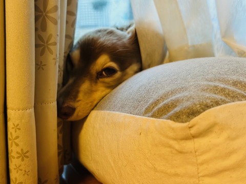 02CF14A7-F1A3-4870-B739-BFDD1A745E40