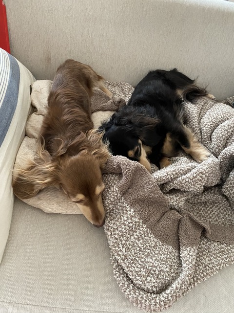 7088BBAF-37BC-46DB-B48F-0B0DC4903FBF