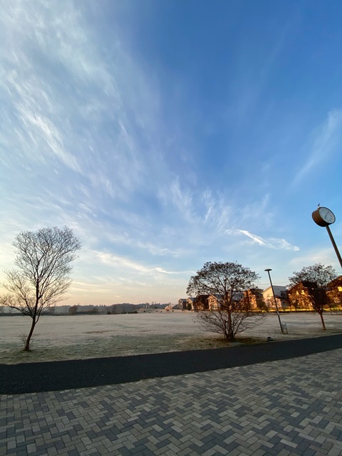 F7D53951-DF30-43C4-8981-300AA88CF991