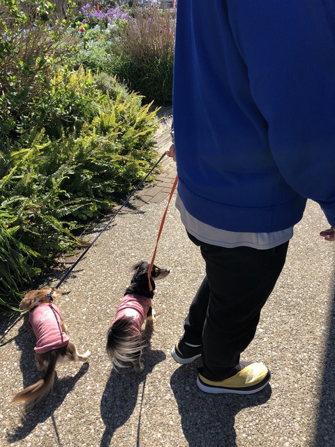 290B0B64-0EDD-4263-A523-BF1FA184D900