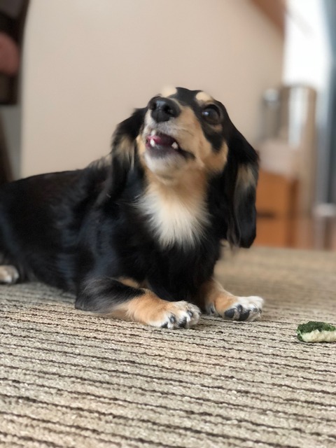 6634CA4A-6F5C-499A-A665-8E12D4A6692F