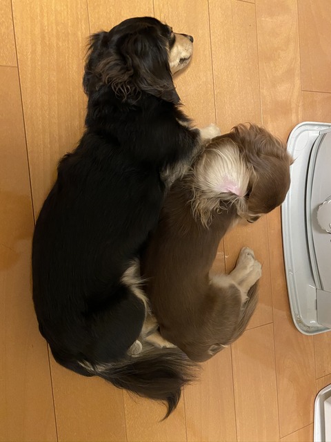 1D12E4B5-68CE-46CD-AC9C-621F23094CB0