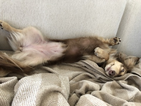 1ABB3CA8-025D-4C26-B708-8D7206EE3D79