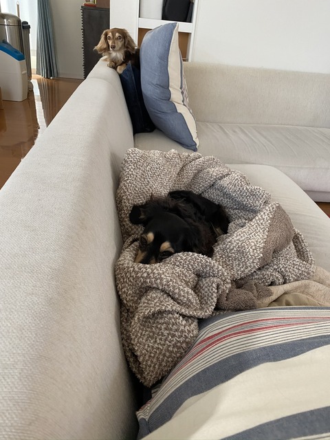 F9178689-FEDE-4883-8BAA-FEC2D09D11CB