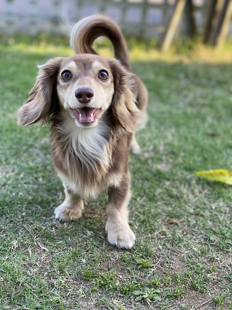 6DBE0C8F-3E4B-4B0D-AADB-4363A97F46F0