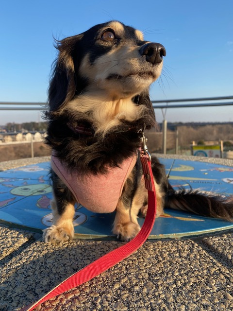 85C4E58C-8E51-439E-B7A9-EF3D410888A4