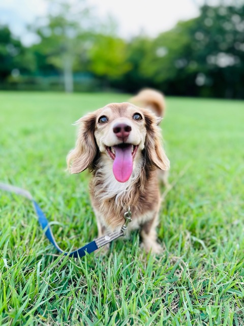 1B09D76B-44AB-4D65-A9FE-16BDD6DE0157