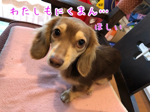 CF0F2E3D-03DC-4859-AB22-D432F55471F8