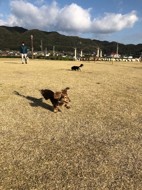 A0D370B5-255A-4D2A-926C-1621291E98FF