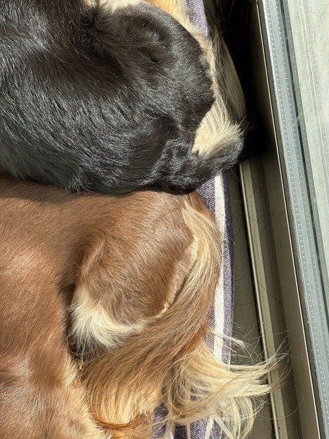 C1E518B0-40A1-4582-8A92-BB2B7FECF2B7