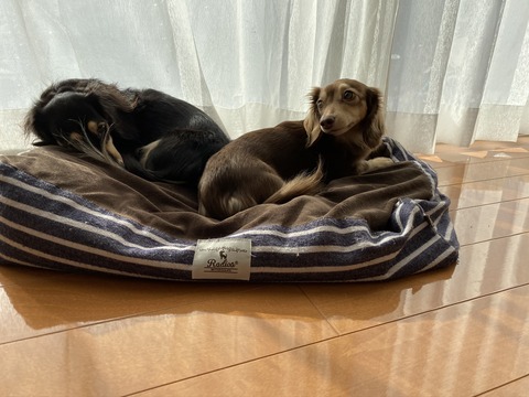 97C6181A-1E05-4EE4-A571-87EA633DBE8E