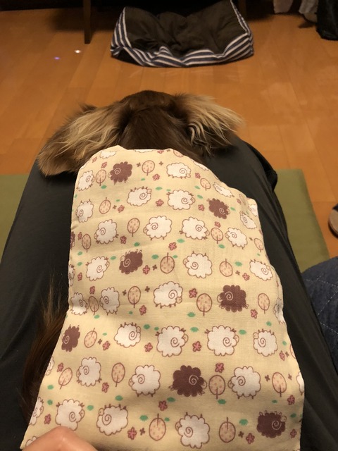 4EB505FA-7D23-4D4B-86CB-54E60269251D