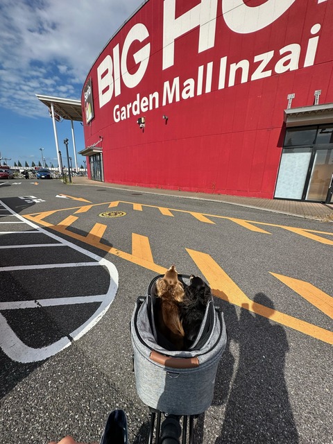 CB08BAB9-DD01-45E7-B457-1F162A6A3F52