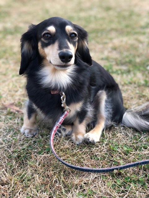 ABD2EDBE-E97D-42F3-93CD-998CA0442AE9