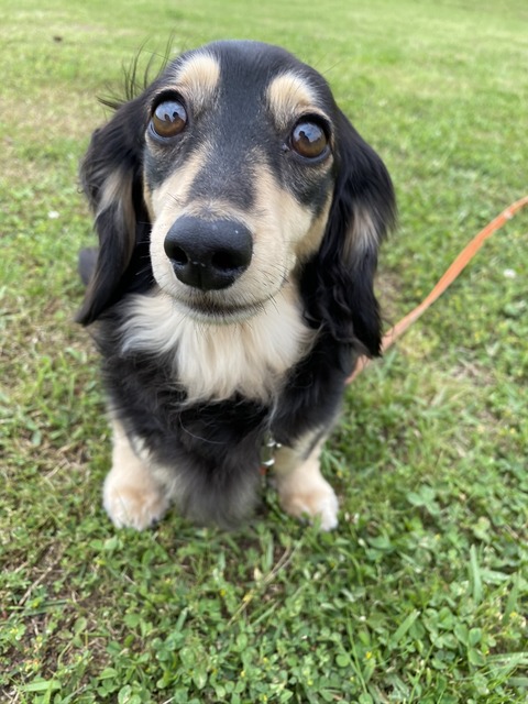 2A0501E2-26B9-4F6E-8F13-F1A89FDC94B1