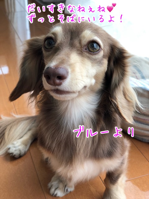 C19D4BE1-C95E-4304-A124-0351813E5B7F