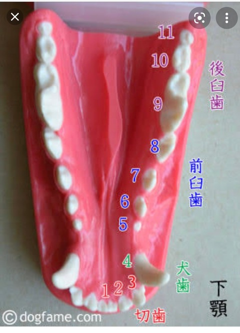 496C719A-54AF-4AD6-997F-FBAFB72F5BAC