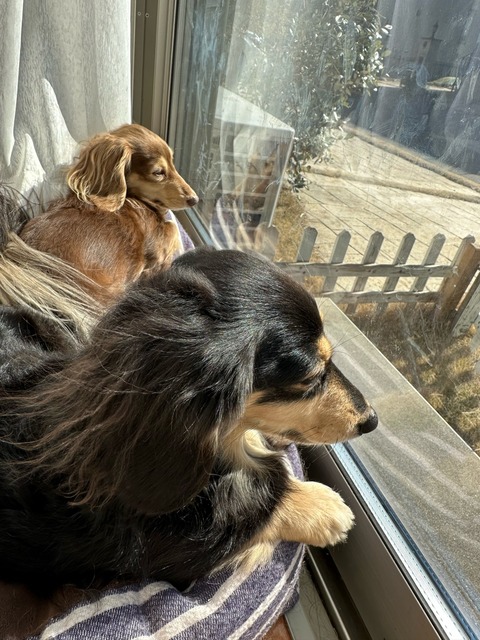 25B670FA-4CC3-4E00-BCD2-87CC7075CB86