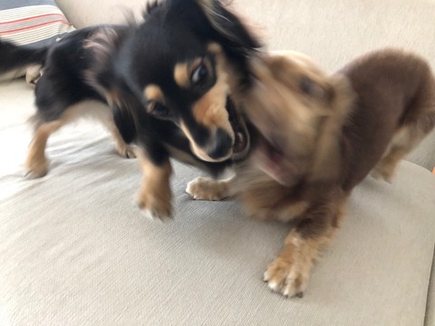 C004A034-D8B2-49A4-A8F9-75C207FAAAC1