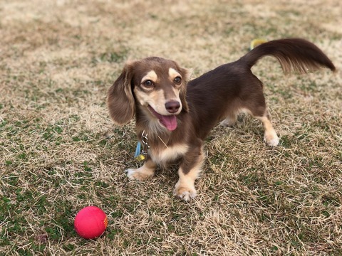 6C90D47D-E21C-4962-A872-5E58E2ECC072