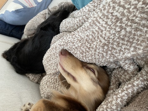 51C0D36F-53AF-49E5-B47A-6917F1CD38EE