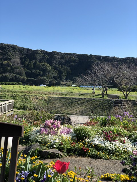 FF853B45-305C-477C-9C3B-A77BED4503E2