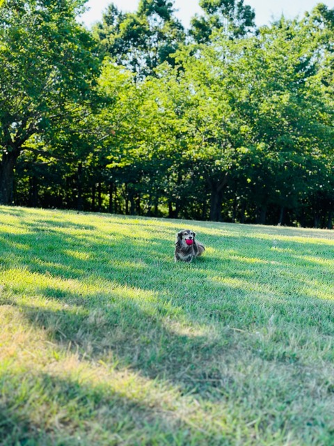 CAACFE52-191A-4872-9EDB-B036514ABF42