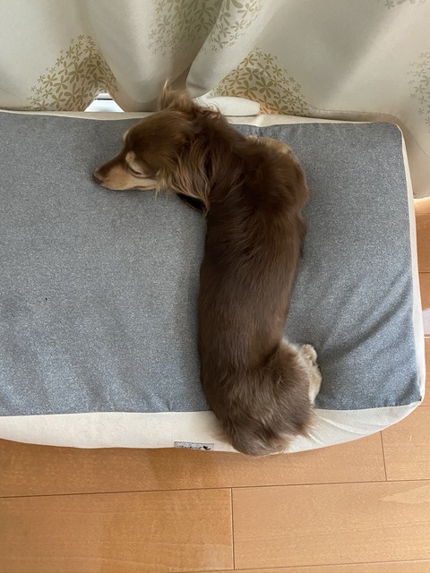 A0C499B4-FE32-4A7D-AB37-86784EE66414