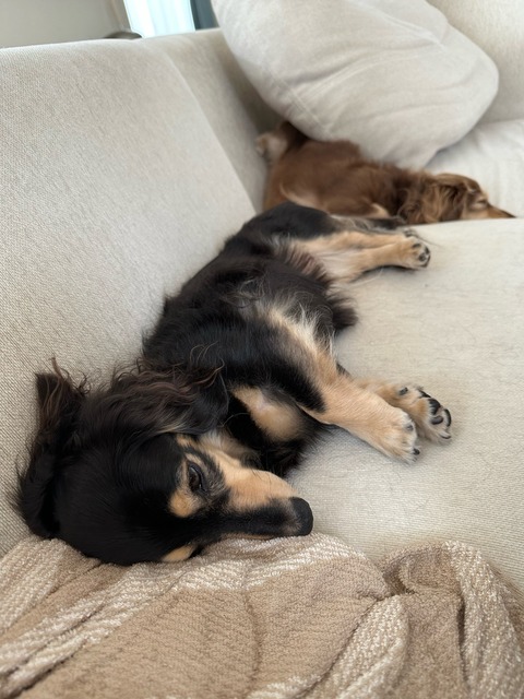 26EF4937-FF06-46F3-8981-8D3B6AA75FB8