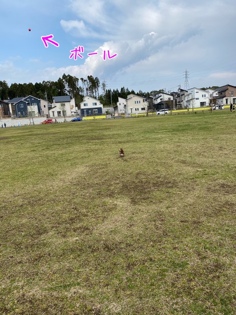 F9010B50-E4AA-481B-9E9B-C06942709DB6
