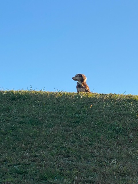 767F96B9-76CE-49F0-A622-3FDF37751748