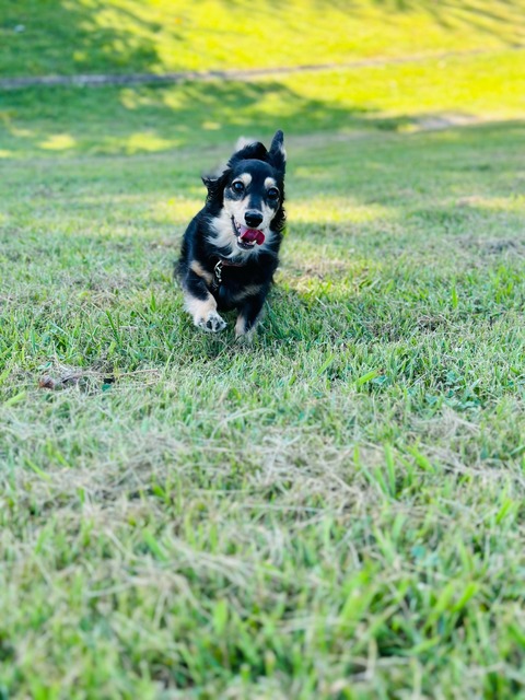 6EE99A12-DA2E-4727-97FC-52199059CCBD