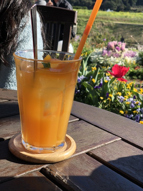 15F85509-90B3-4FC2-8CA6-8319B8CF400C