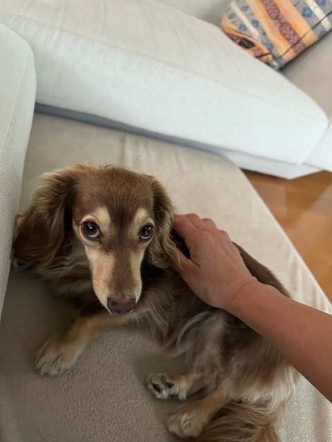 89E9A870-775E-4EA3-A822-2E97B0CF099C