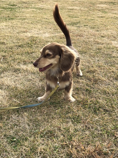 D40D84AB-1586-483F-8221-BFF779B3792A