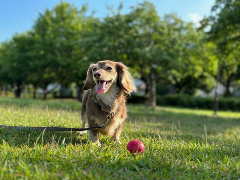 2B05C453-4D34-401C-A0A4-C4F19177D7D4