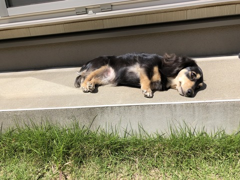 29D743CC-2EFA-4D16-ACBD-F26DABCB5678